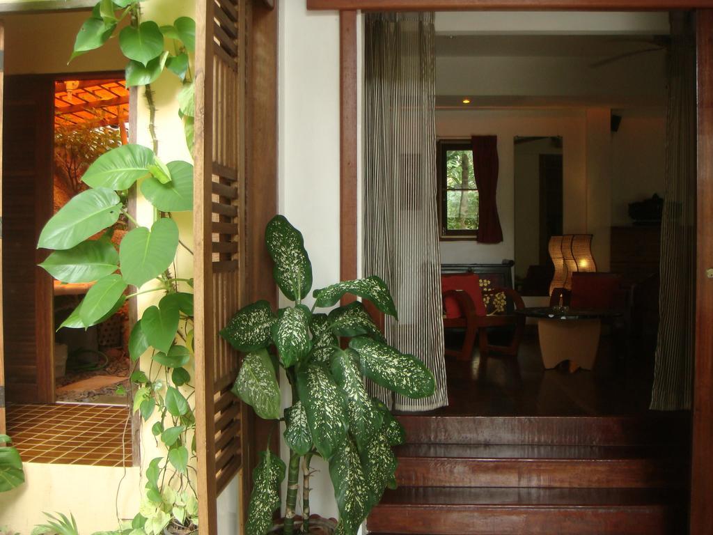 La Cigale Bed and Breakfast Koh Tao Rum bild