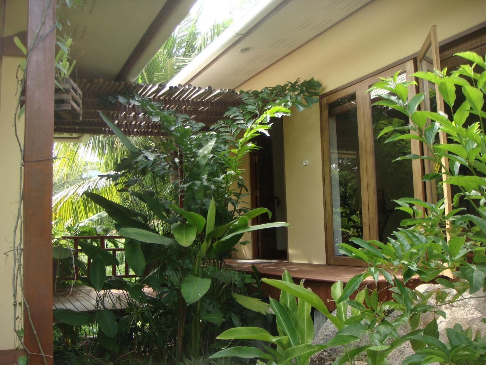 La Cigale Bed and Breakfast Koh Tao Rum bild